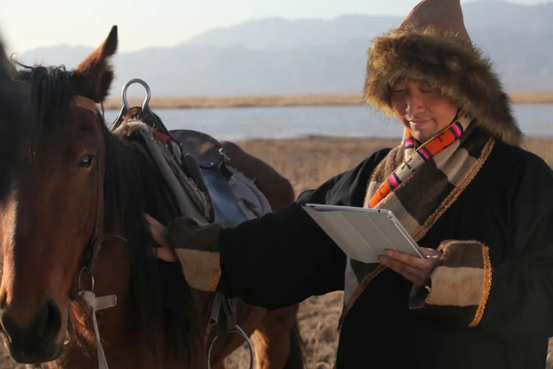 1667194954154833.jpg c291cdae-b401-4420-9812-3c28ea4b5284.jpg